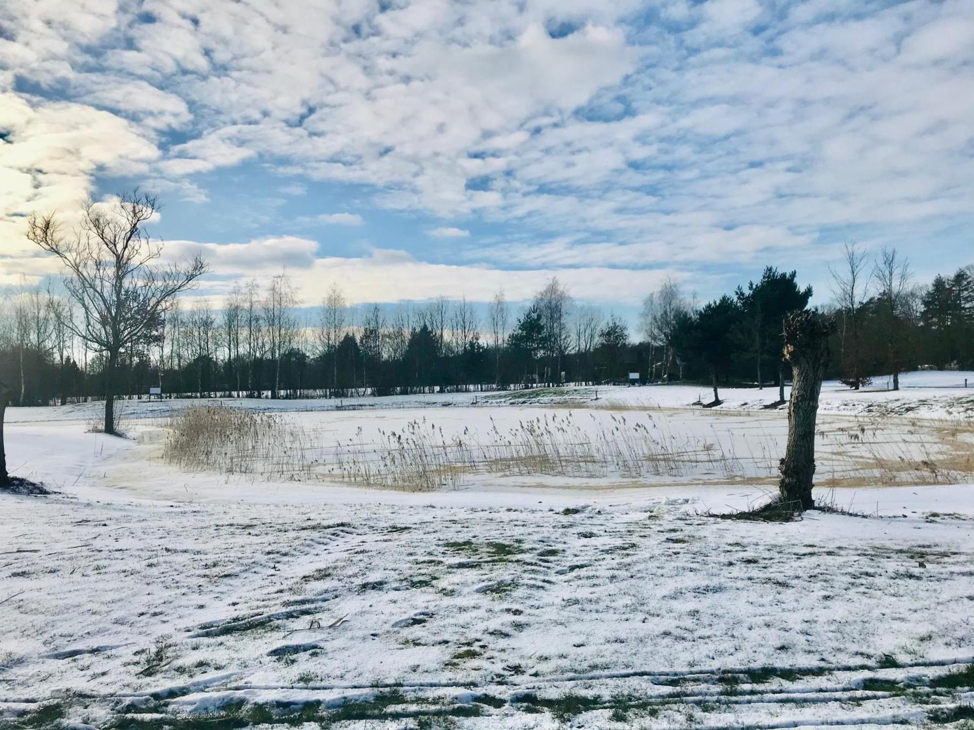 De Appelhoeve Appelscha Eksteriør billede